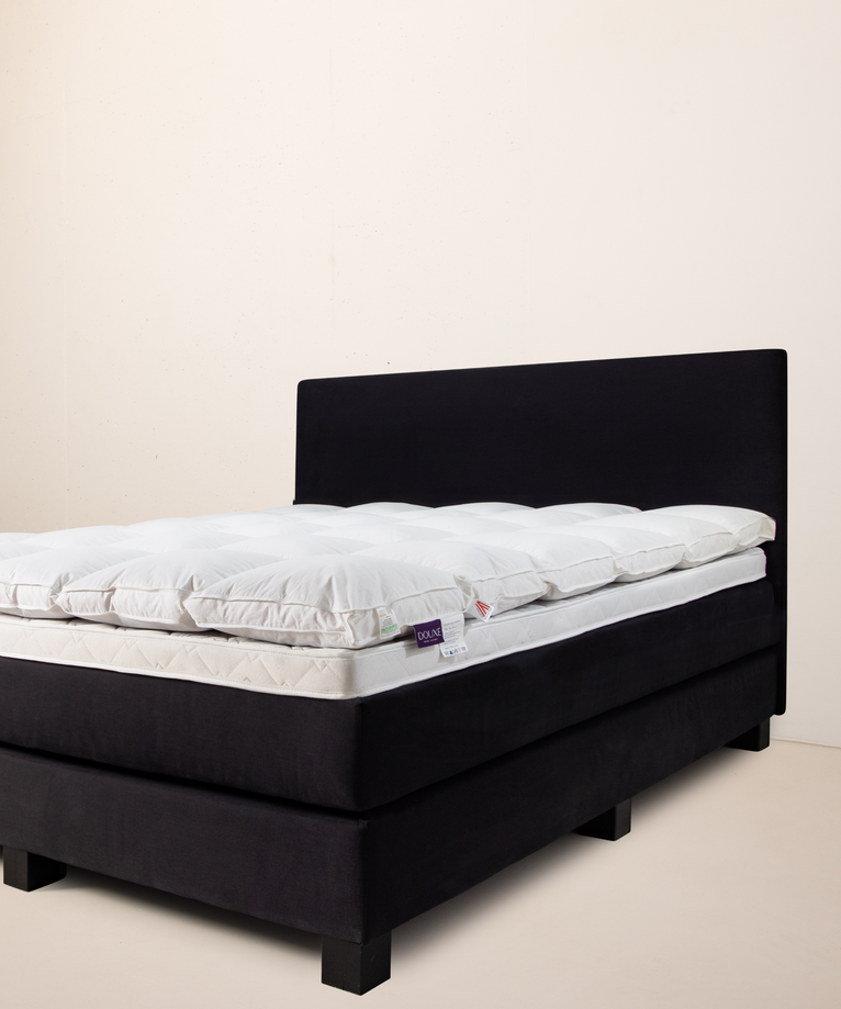 Hoofdbord Mainport Hotel Jet Black