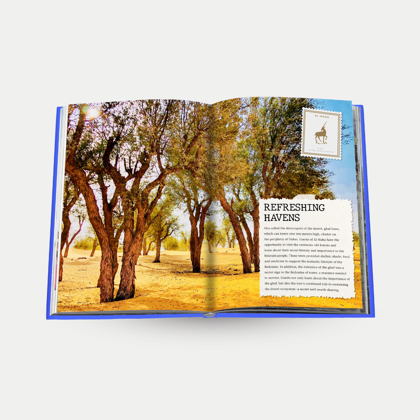 The Luxury Collection: Hotel Secrets - Assouline Koffietafelboek