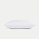 DOUXE Hoofdkussen Dons 60x70 cm - Buikslaper SOFT