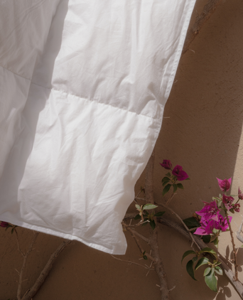 Exclusive Zomer Dekbed - 90% Dons | Outlet Zomer dekbed van dons hangend met zomerachtergrond