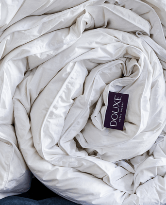 Prestige All Year Dekbed - 100% Dons | Outlet hotel dekbed met DOUXE logo opgerold van 100% dons voor 4 seizoenen