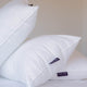 Hotel kussen DOUXE | Luxe Hotelkwaliteit | Kingsize 50x90cm