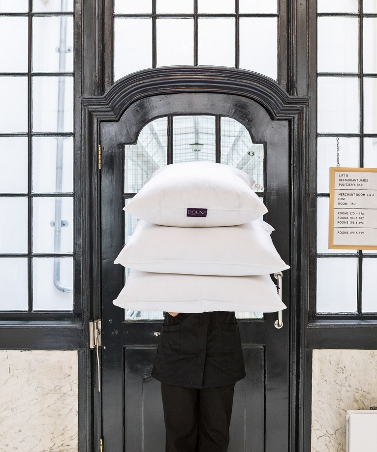 DOUXE Hoofdkussen Dons 40x80 cm