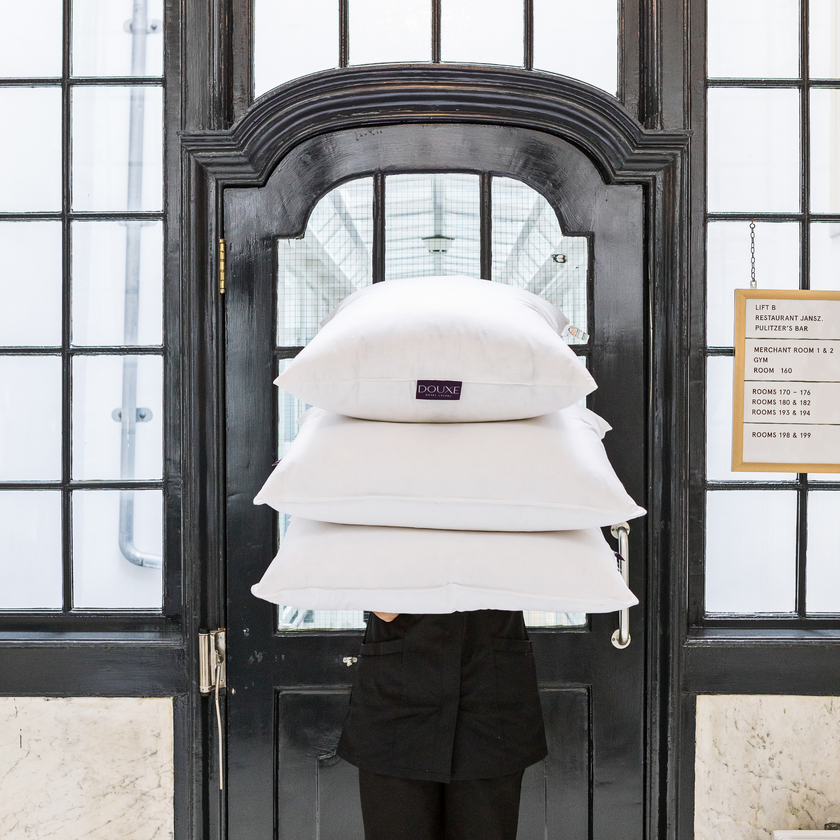 DOUXE Hoofdkussen Dons 40x80 cm