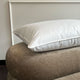 Hoofdkussen Dons 50x70 | Outlet