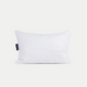 DOUXE Hoofdkussen Dons SOFT | Buikslaper 50x70 cm