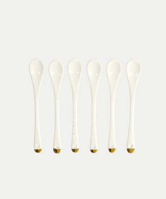 6-delige Tokyo Design Theelepels Set - Golden Rim